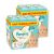  Pampers Premium Care pelenka 1, 2-5 kg, HAVI PELENKACSOMAG 1+1 312 db
